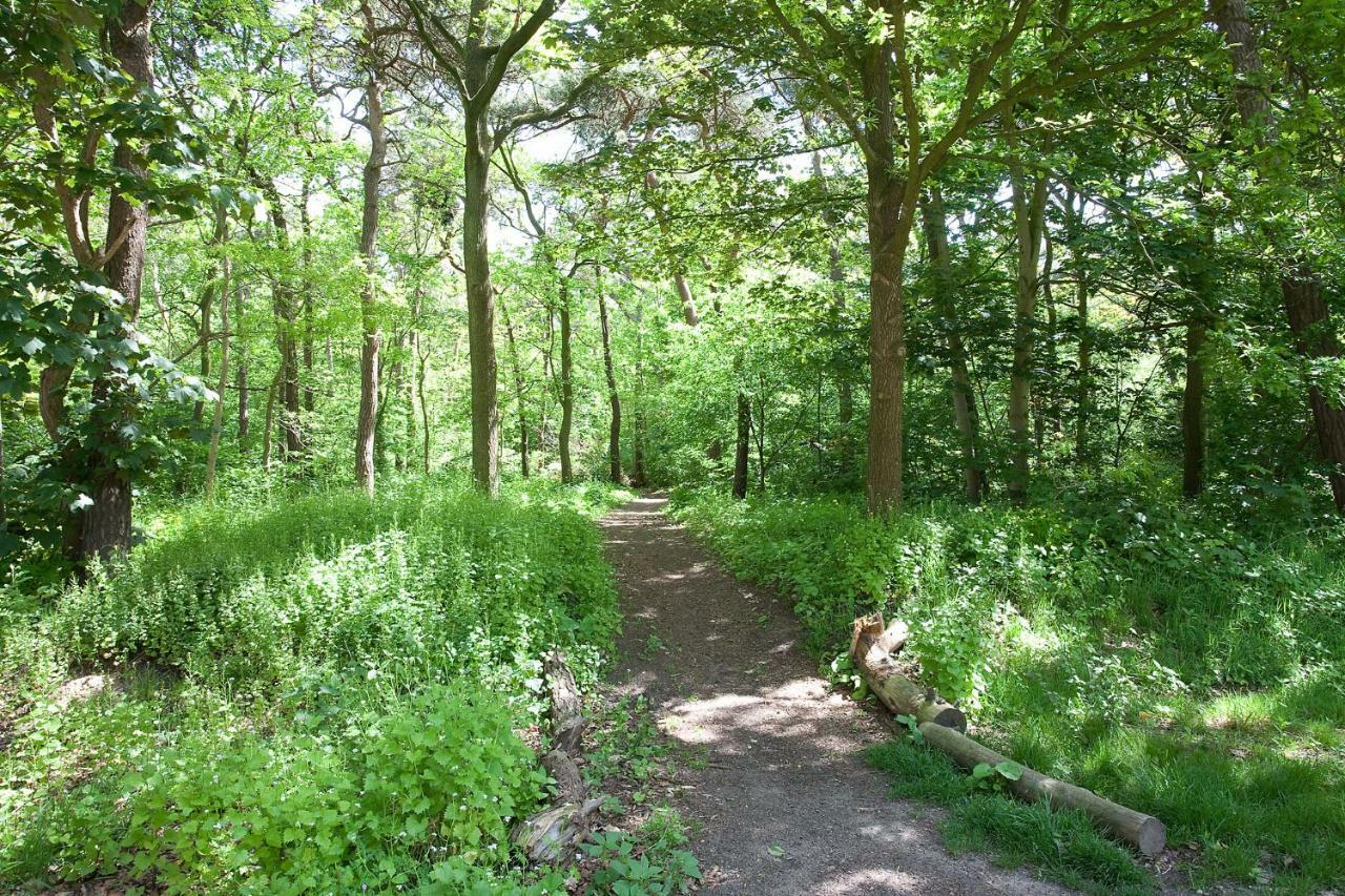 Betonnen Boshuis Oosterhout  Buitenkant foto